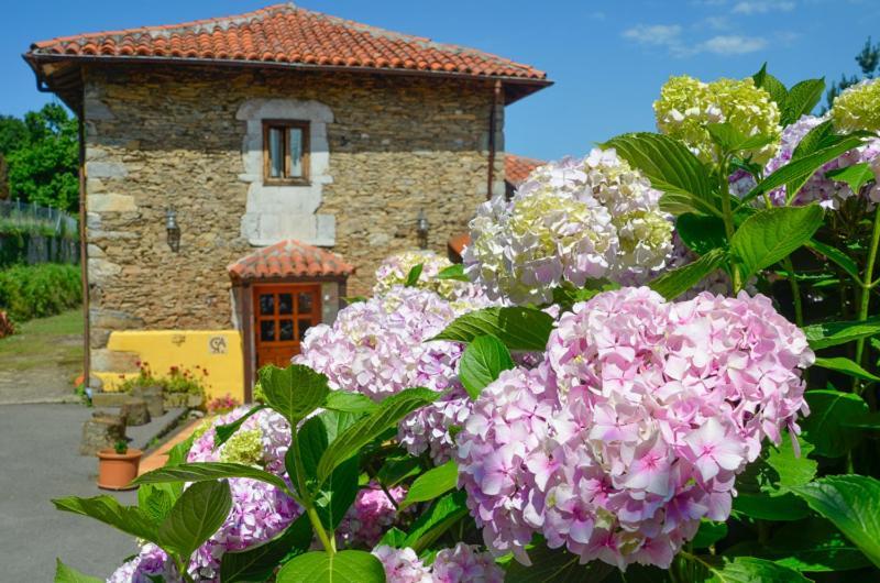 Malleza La Asturxana旅馆 外观 照片